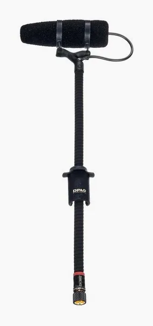 DPA 4099-DP-1, vista 2