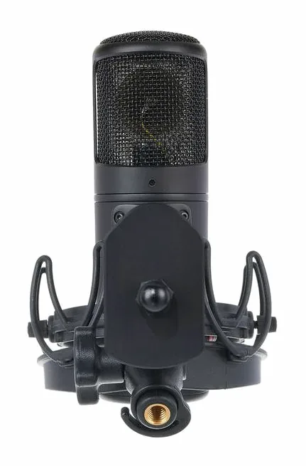 Golden Age Audio Premier GA-8000, vista 2