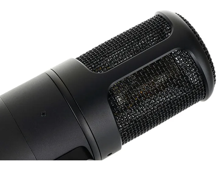Golden Age Audio Premier GA-8000, vista 4