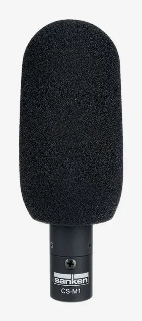 Sanken CS-M1, vista 4